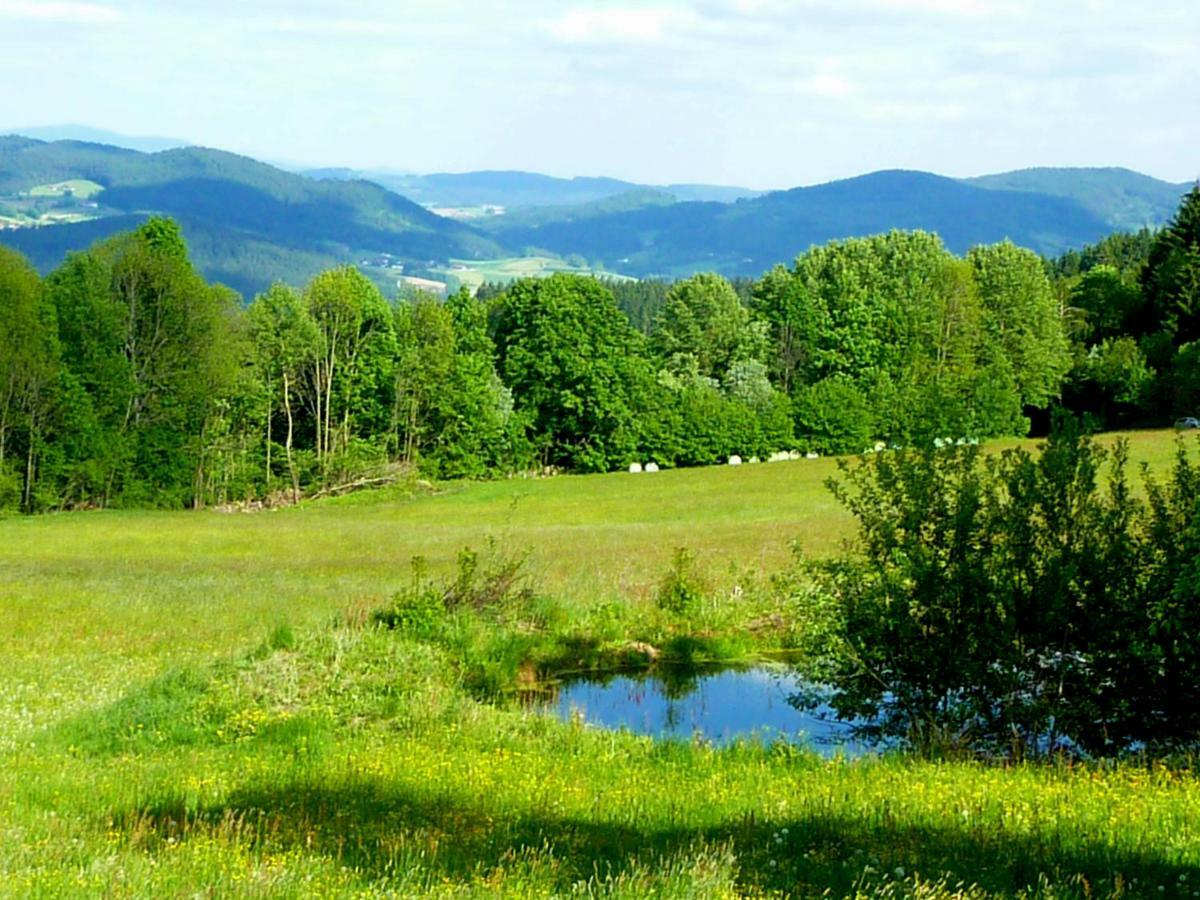 Berggasthof Schoen Patersdorf Εξωτερικό φωτογραφία