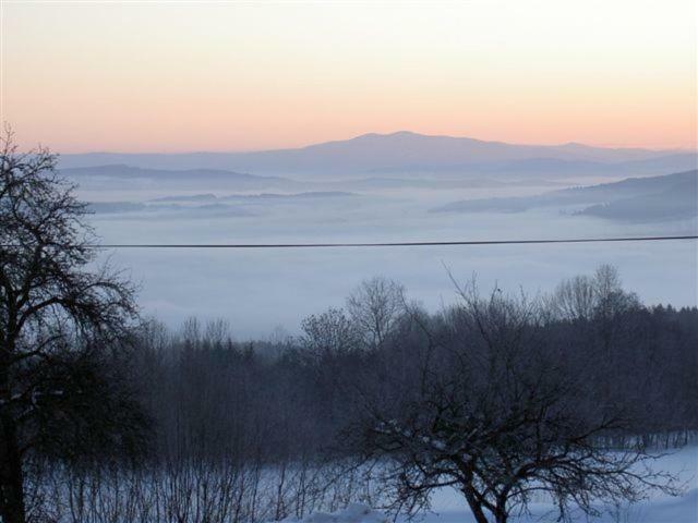 Berggasthof Schoen Patersdorf Εξωτερικό φωτογραφία